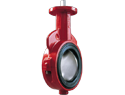 Butterfly Valve, Lug, Gear, 10